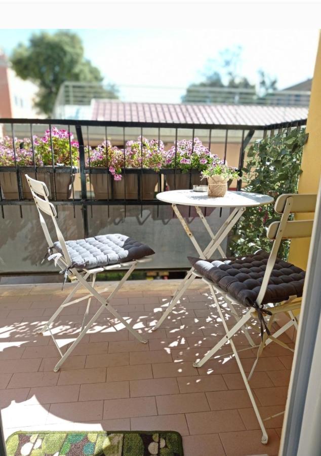 B&B La Palmetta ชิวิตาเวกเกีย ภายนอก รูปภาพ